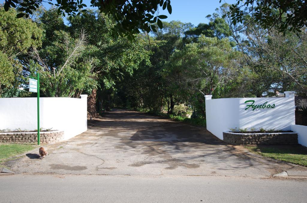 Fynbos Guest House ริเวอร์สเดล ภายนอก รูปภาพ