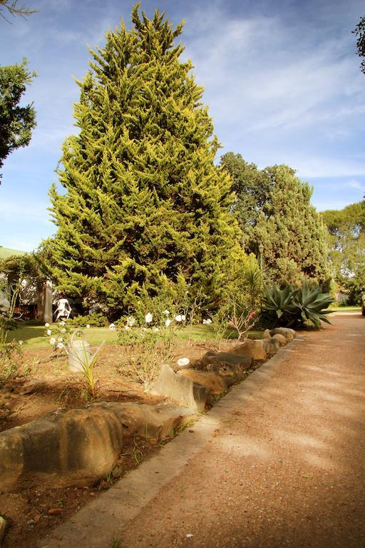Fynbos Guest House ริเวอร์สเดล ภายนอก รูปภาพ